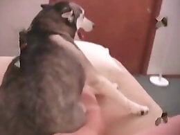 Animal porn and zoo sex