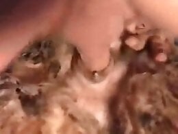 XXX bestiality zoo porn
