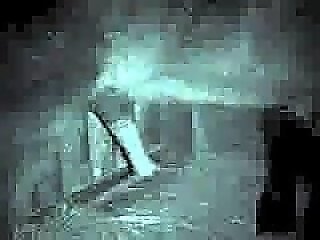 Zoo Zoo Sex Porn