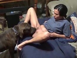 Dog Girlsexvid - Dog and girl sex