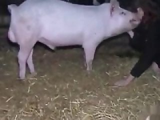 ZooAnimalPorn