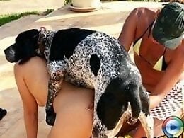 ZooAnimalPorn