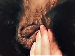 Animal porn and zoo sex