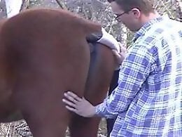 Zoophilia porn and animal sex