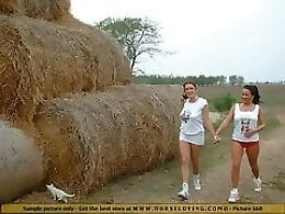 Zoo Zoo Sex Porn