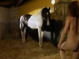 Horse animal porn