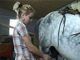 Zoo porn and zoo sex video