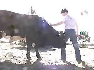 Zoo Zoo Sex Porn