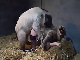 BeastVids