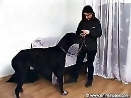 Sex Girl S With Dog S