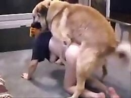 Free bestiality and zoophilia porn