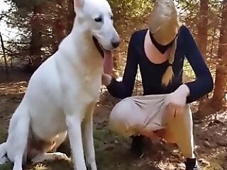 Animal porn videos and ZOO PORN