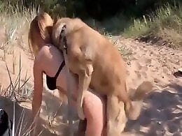 Zoo Zoo Sex Porn