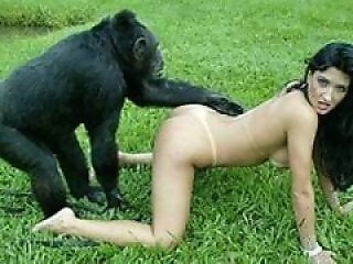 XXX bestiality zoo porn
