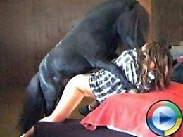 Animal Porn