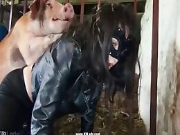 Zoo Zoo Sex Porn