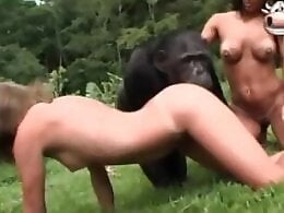 Zoo Zoo Sex Porn