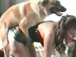 Zoophilia porn and animal sex