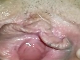 Free zoo porn tube