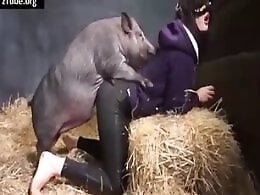 Zoo Zoo Sex Porn