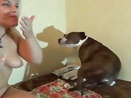 Animal porn and bestiality