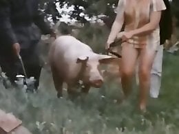 Animal porn and zoo sex