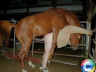 PFERD UND HUND PORNO