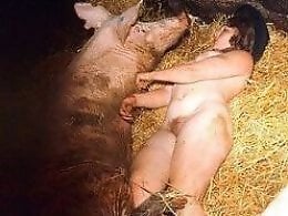 Free bestiality and zoophilia porn