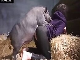 Zoo porn and zoo sex video