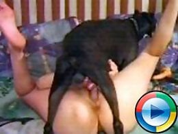 Zoo Zoo Sex Porn