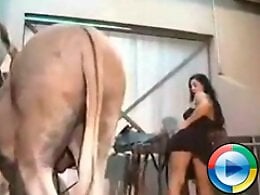 ZOO Porn and bestiality tube