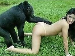 ZOO Porn and bestiality tube