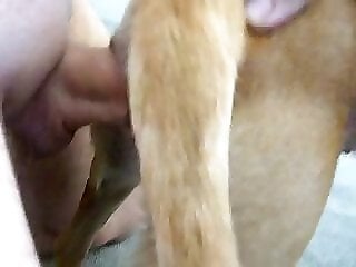 DogSex