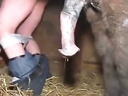 Zoo Zoo Sex Porn