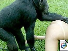 Animal porn videos and ZOO PORN