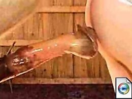 Zoo porn and zoo sex video