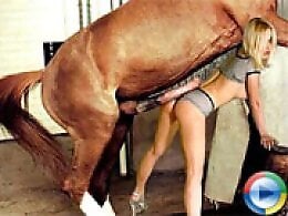 Zoo Zoo Sex Porn
