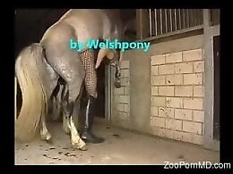 Free zoo porn tube