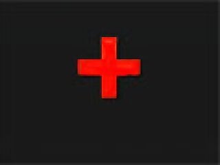 Zoo Sex Videos: Hardcore Animal Porn Tube