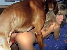 Woman animal porn