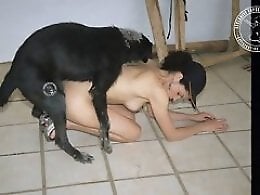 Zoo porn and zoo sex video